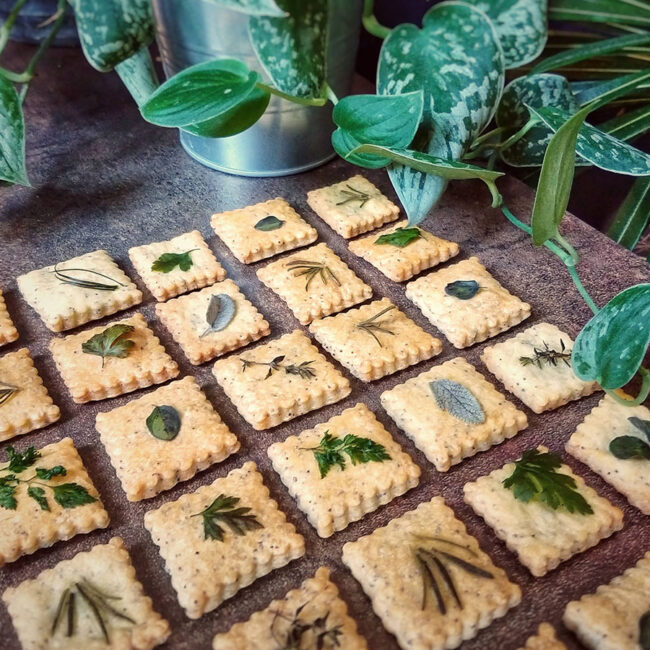 ricetta xebon herb cookies - biscotti salati al parmigiano reggiano e semi di papavero con foglie di piante aromatiche